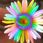 Как цвет изменяет нашу жизнь?