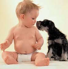 ребенок и животное